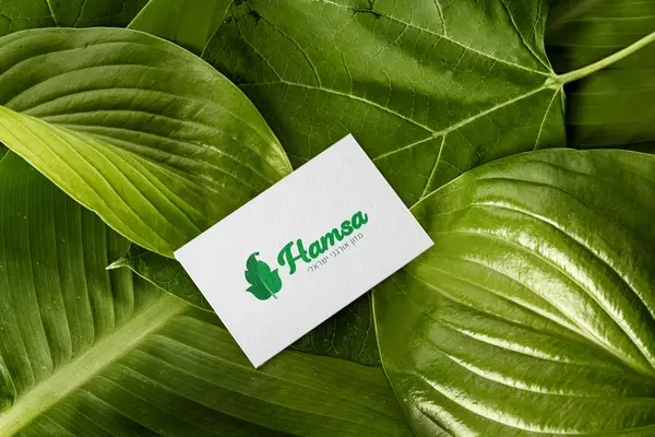 כרטיסי ביקור חמסה בגריד